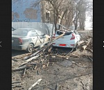 В Астрахани дерево расплющило Hyundai 