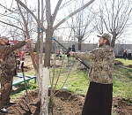 Имамы и батюшки взялись за лопаты и секаторы в Астрахани 
