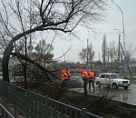 Будьте осторожны! Ночью в Астрахани ожидается ураганный ветер