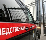 Стали известны подробности чудовищного убийства матерью своего новорождённого сына