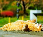 Завтра астраханцев на улице основательно прожарит