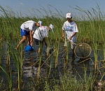 ЛУКОЙЛ продолжает помогать школьным отрядам "Голубого патруля"