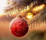 Расписание новогодних мероприятий в Астрахани 