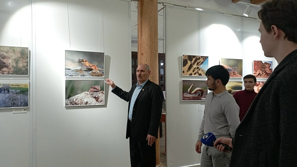 Астраханцам предлагают заглянуть в тайный мир заповедной природы 