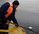 В новом году с поверхности городских каналов Астрахани собрали уже две тонны мусора