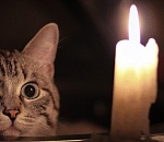 Более 40 улиц Астрахани останутся сегодня без света