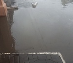 Фото и видео дня: астраханцы плывут по городу