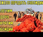 Аграрный «срез»: Минсельхоз России грозится срезать Астраханской области господдержку аграриев