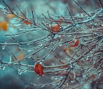 В последний день апреля астраханцев ждет резкое похолодание