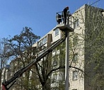 На пяти астраханских улицах стало светлее