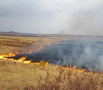 Ни один факт поджога сухостоя не должен остаться безнаказанным