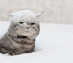 Астраханцев напугали прогнозом о похолодании до 25 градусов мороза 