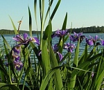 В четверг в Астрахань придет похолодание