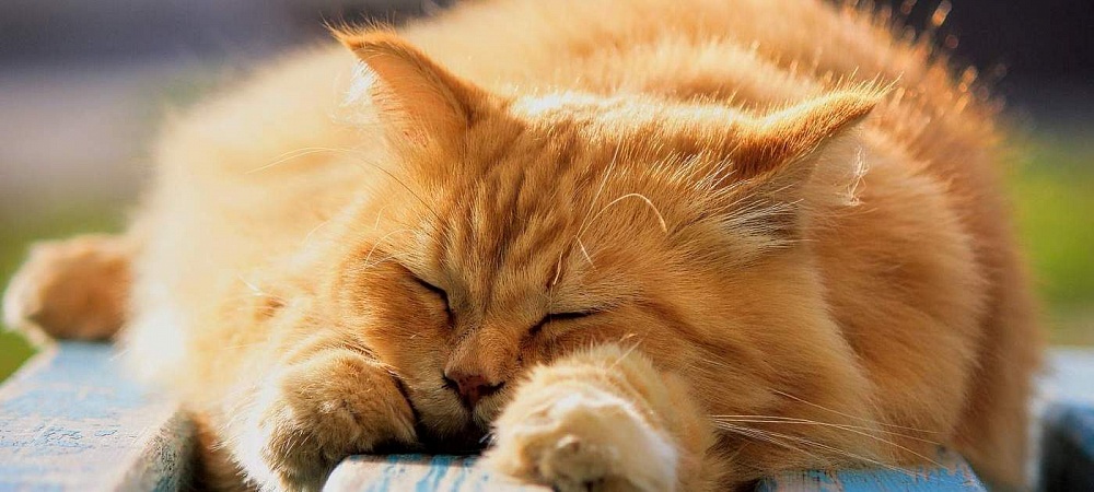 В среду в Астрахань придет почти лето