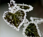 Астраханские спасатели предупреждают: этой ночью сильно похолодает