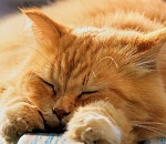 В среду в Астрахань придет почти лето