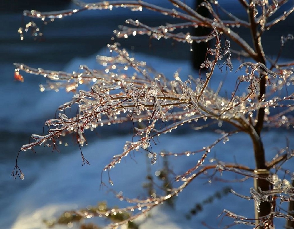 Завтра Астраханской области ожидается первый снег