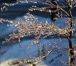 Завтра Астраханской области ожидается первый снег