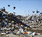 На ликвидацию астраханских свалок нужно 9 миллиардов, а у нас столько нет