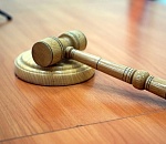  В Астрахани за упавшее на ребенка дерево осудили чиновника, но отпустили по амнистии