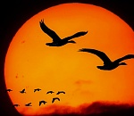 Массовое бегство астраханцев из региона замедлилось