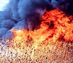 МЧС предупреждает: запах гари возможен над всей территорией Астраханской области