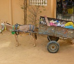Плата за мусор для астраханцев вырастет с 1 ноября