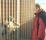 Председатель астраханской Гордумы Игорь Седов решил проверить, как живут собаки в муниципальном приюте