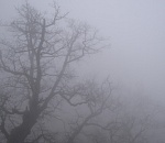 Последний рабочий день 2019 года будет туманным 