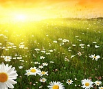 Синоптики рассказали, какой будет первая неделя лета в Астрахани