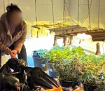 В Астрахани накрыли оборудованную наркоферму