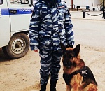 В Астраханской области служебная собака раскрыла две кражи