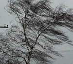 Метеорологи прогнозируют в среду в Астраханской области сильный ветер - до 18 м/с