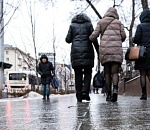 Ни солнца, ни ветра, ни снега: Астраханская область продолжает находиться в «серой» зиме