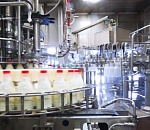 Прокуратура проверила информацию о закрытии астраханского молокозавода