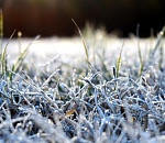 Внимание! На Астраханскую область в ближайшие дни  обрушатся заморозки