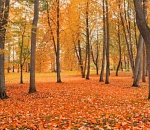 Завтра в Астрахани будет еще прохладнее