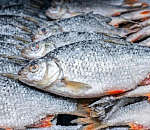 Тонны казахстанской воблы не пустили в Астраханскую область