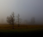 Ночью Астраханскую область кое-где окутает туман