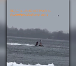 Моряки сухогруза спасли астраханца с дрейфующей льдины 