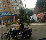 Пёс катается по Астрахани на мотоцикле