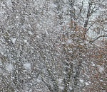 Завтра Астрахань накроет метель