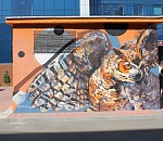 Какие арт-объекты подарил фестиваль "Чилим" Астрахани: фото