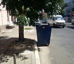 Фото дня: мусорник, который смог