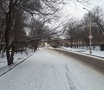 В Астрахани крупная ветка перегородила дорогу