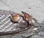 В Астрахани вновь резко потеплеет