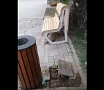 Вандалы разнесли сквер Ульяновых в центре Астрахани: видео