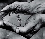 Югнедра проведут аукционы по участкам углеводородов в Астраханской области