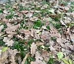 Пятничное небо в Астраханской области затянут тучи