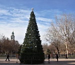 Раз-два-три, ёлочка, гори: астраханцев приглашают зажечь